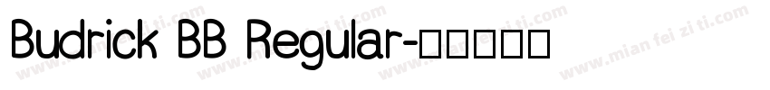 Budrick BB Regular字体转换